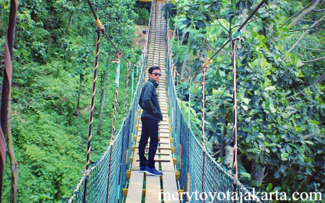 Wisata Curug Ciherang & Jembatan Kayu Gantung di Puncak
